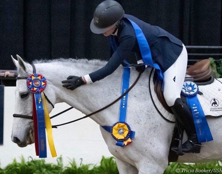 THE LAS VEGAS NATIONAL HORSE SHOW