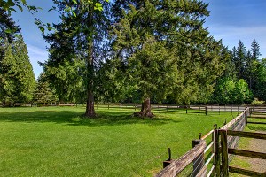 shelburne-farms-8 